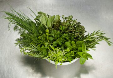 A bowl of fresh herbs