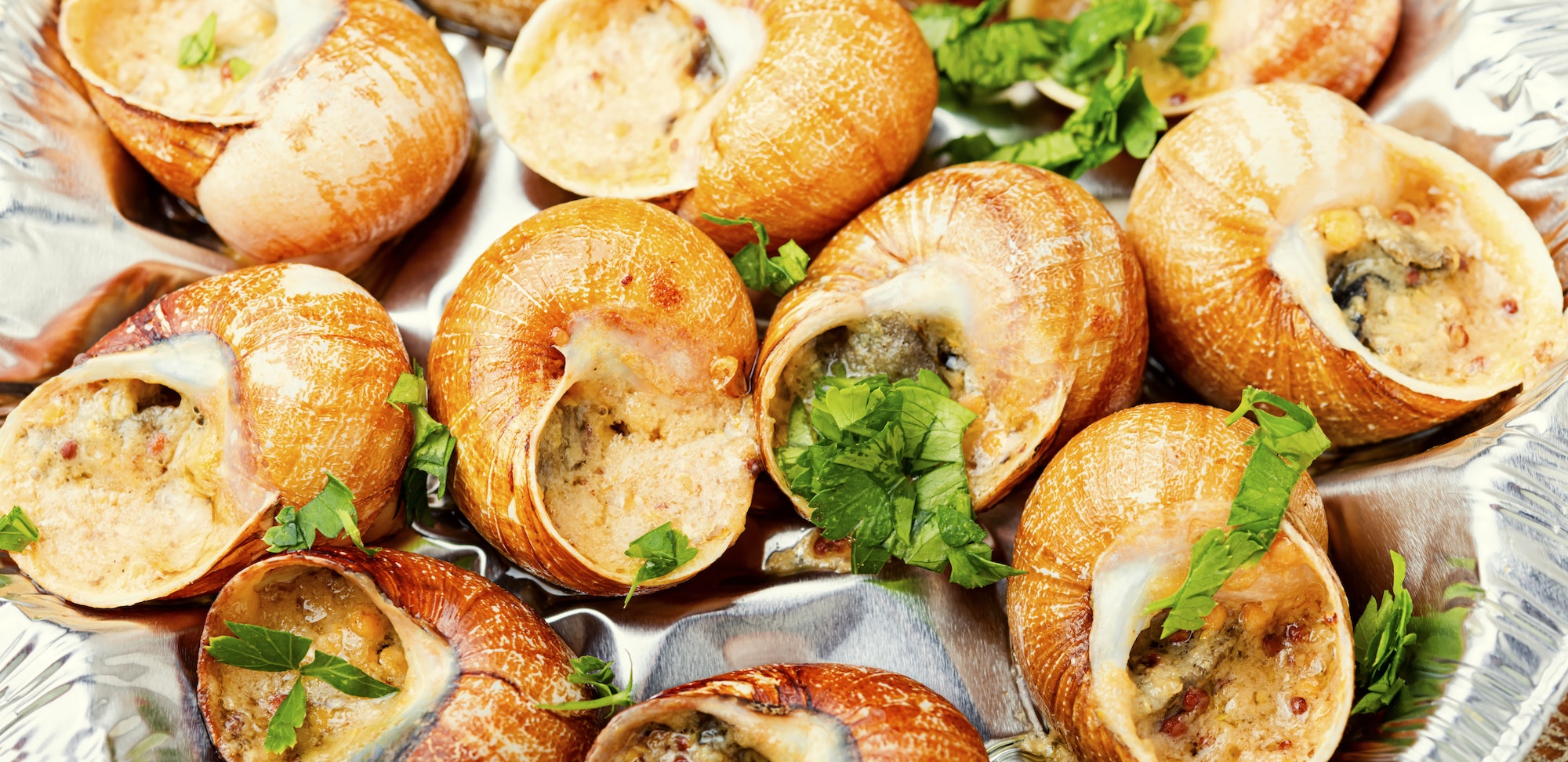 Bourgogne escargot snails