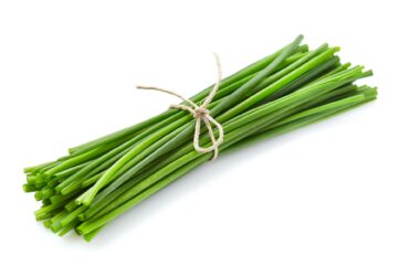 Bundle of chives