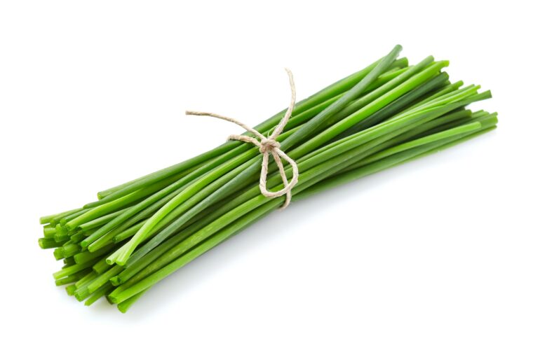 Bundle of chives