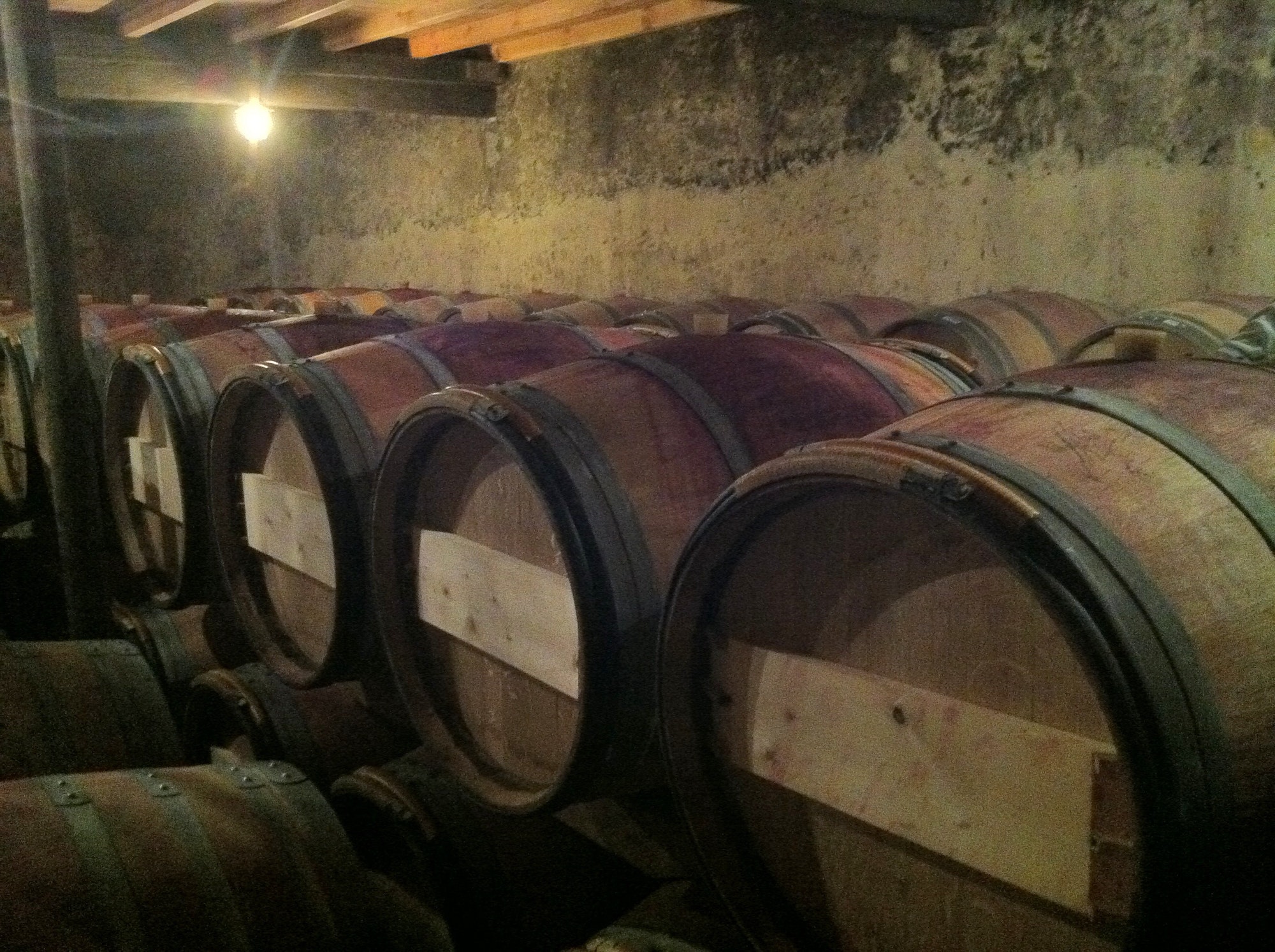 Underground French chateau keeping barrels of wine in controlled environment, sommelier